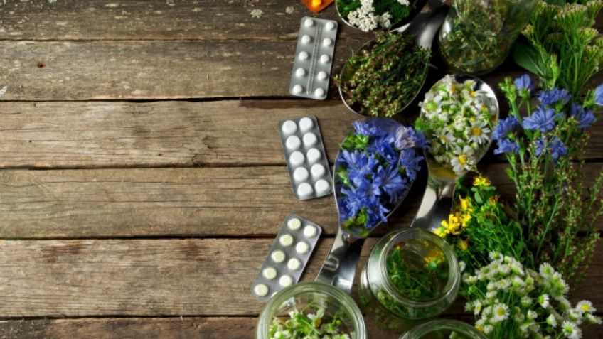 Alivia algunos malestares físicos con ayuda de estas asombrosas plantas medicinales