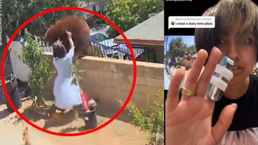 VIDEO: Adolescente se enfrenta mano a mano contra un oso para salvar a sus perritos