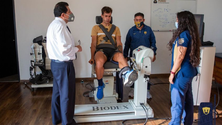 Los Pumas dan a conocer sus próximas incorporaciones para el siguiente torneo