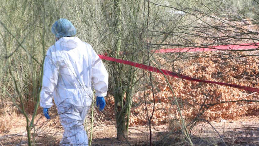 Sonora: Difunden lista de 31 cadáveres de desaparecidos sin identificar en morgue de Guaymas