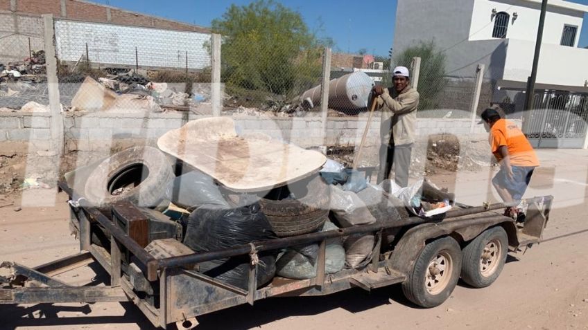 Familias de Huatabampo temen al dengue y otros males transmitidos por el mosco