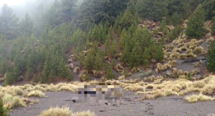 ¡Tragedia! Ciclista desaparece en el Nevado de Colima; habría muerto de hipotermia o de una caída