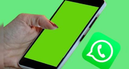 Truco: El 'modo zurdo' llega a WhatsApp para facilitar el uso de todas sus funciones