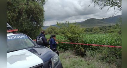 En medio de un campo de cultivo, hallan el cadáver de un hombre en avanzado estado de descomposición