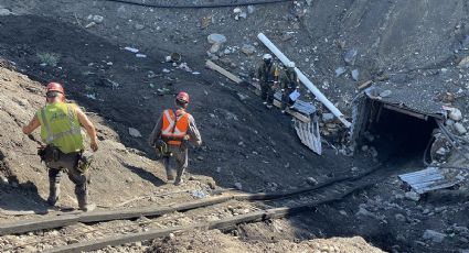 'Amigos fieles': Los perritos que esperan a sus dueños; mineros fallecidos en la mina de Múzquiz