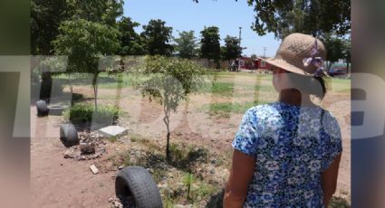 Cajeme: Vecinos de Las Misiones toman acciones propias para cuidar la reforestación en parques