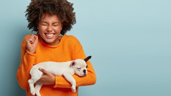 ¡Bellísimos! Muestra su encanto con estos nombres para perros hembra más populares