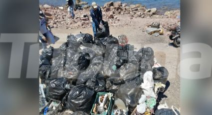 Ambientalistas del Puerto Guaymas buscan rescatar el ecosistema de la contaminación