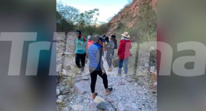 Guaymas: Ambientalistas piden respetar espacio de animales en áreas naturales