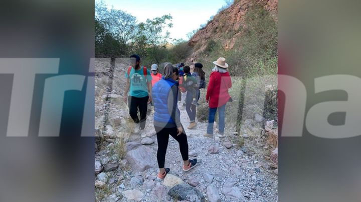 Guaymas: Ambientalistas piden respetar espacio de animales en áreas naturales