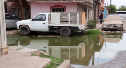 Ciudad Obregón: Vecinos de la colonia 'Machi' López viven entre aguas negras y fétidos olores