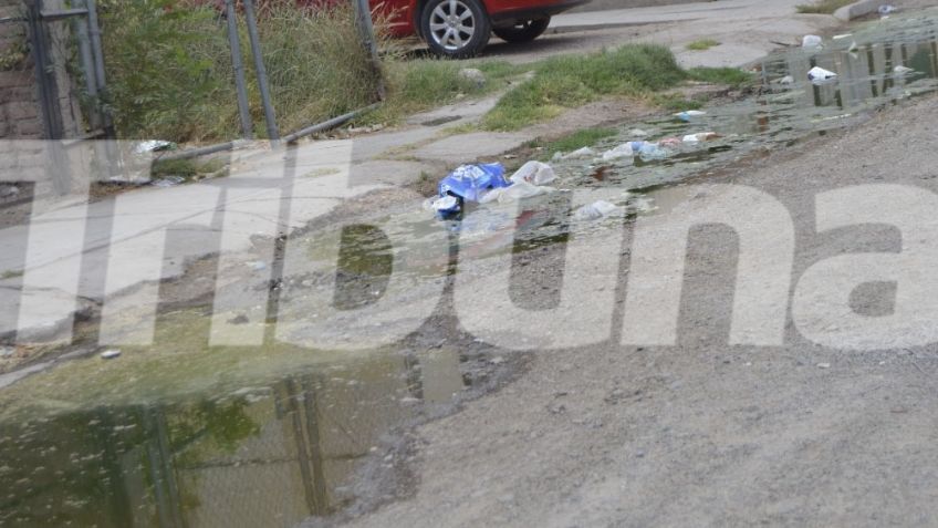 Navojoa: Aguas negras en el fraccionamiento Infonavit, un foco de infección en vecinos