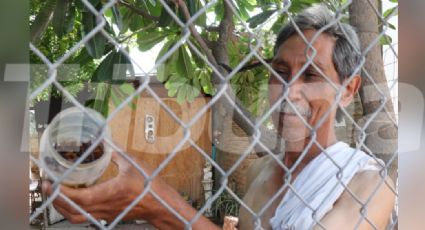 Ciudad Obregón: Vecinos de la colonia Benito Juárez reportan aumento en la presencia de alacranes