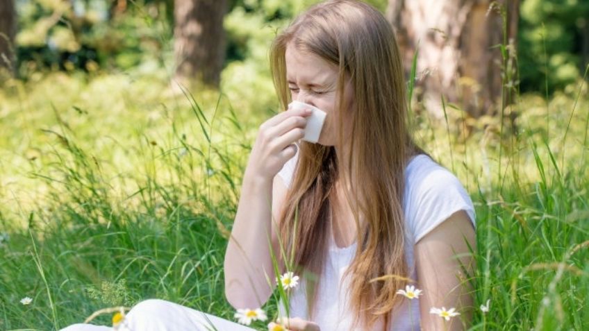 Tenebroso: El Covid-19 podría ser transportado por el polen en tiempo récord