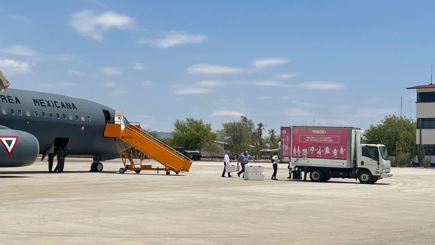 Sonora recibe casi 150 mil vacunas AstraZeneca y Pfizer para inmunizar a grupos 40 a 59