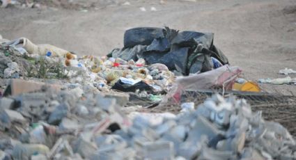 De terror: José Carlos mata a puñaladas a su madre y tira su cadáver 'encobijado' en la basura