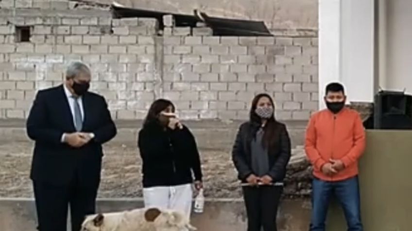 VIDEO: Perro orina a presidenta municipal de Argentina y se vuelve viral