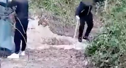 VIDEO: Salvan de morir a tiros a amante de esposa de mafioso; captan a sicarios al cavar su tumba