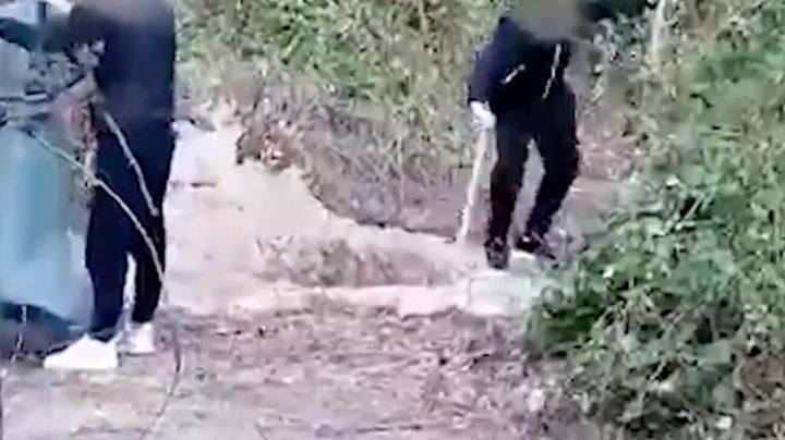 VIDEO: Salvan de morir a tiros a amante de esposa de mafioso; captan a sicarios al cavar su tumba