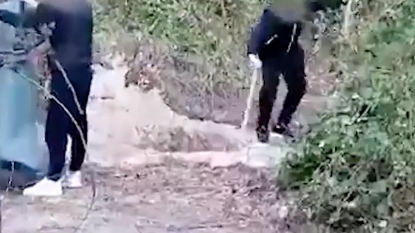 VIDEO: Salvan de morir a tiros a amante de esposa de mafioso; captan a sicarios al cavar su tumba