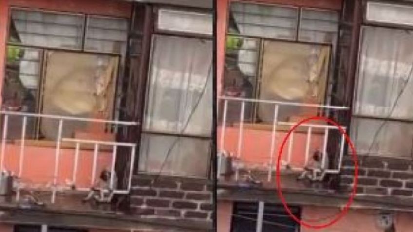 VIDEO: Perrito es abandonado en un balcón durante lluvia torrencial; cibernautas estallan