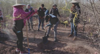 Colectivos rastreadores se unen e Inician mega búsqueda de desaparecidos en Cajeme