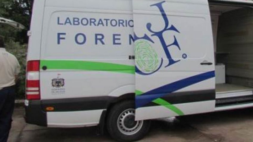 Jalisco: Amarrado en bolsas negras e irreconocible, hallan cuerpo; estaba en un finca