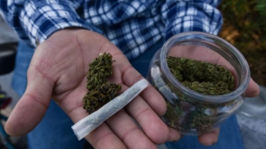 ¿Qué permite y qué prohíbe el fallo de la SCJN sobre el uso de la marihuana?