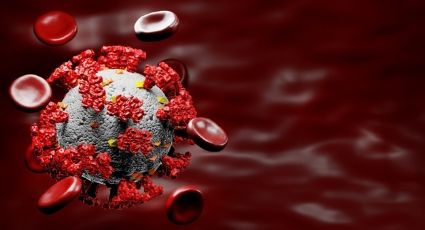 Glóbulos rojos: Los responsables de la falta de oxigeno en pacientes con Covid-19