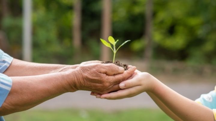 Anímate a cuidar del medio ambiente con estas sencillas frases motivadoras