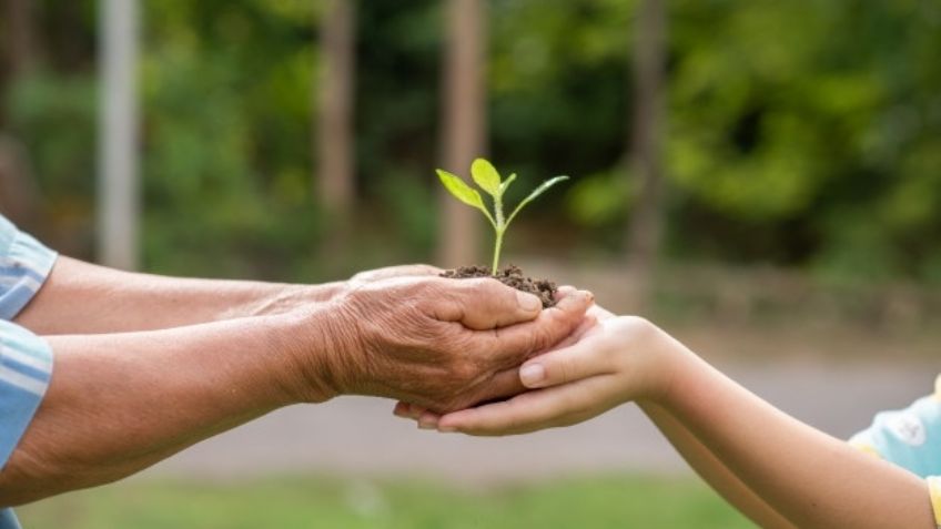 Anímate a cuidar del medio ambiente con estas sencillas frases motivadoras