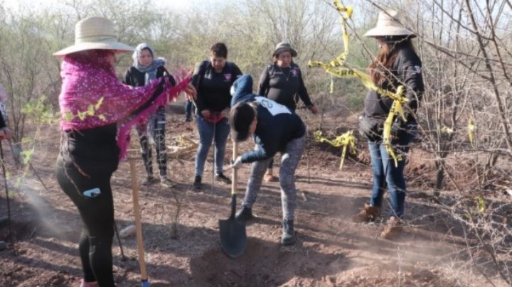 Buscadoras desmienten hallazgo de cuerpo en la mega búsqueda de los colectivos