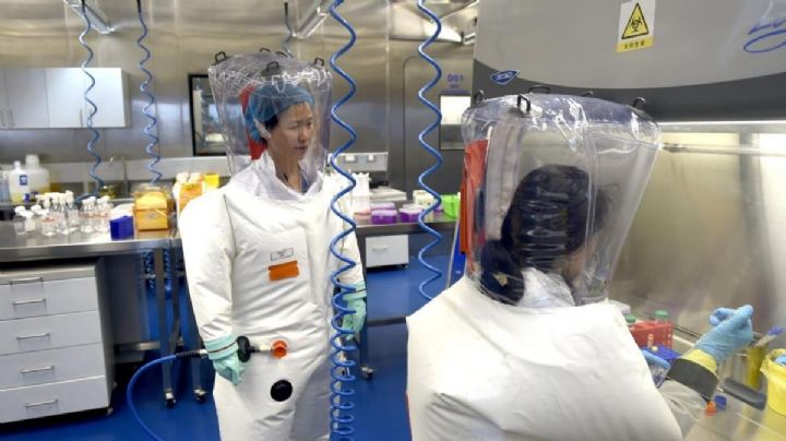 ¿El Covid-19 fue creado en un laboratorio? Hallan posible prueba definitiva del año 2015