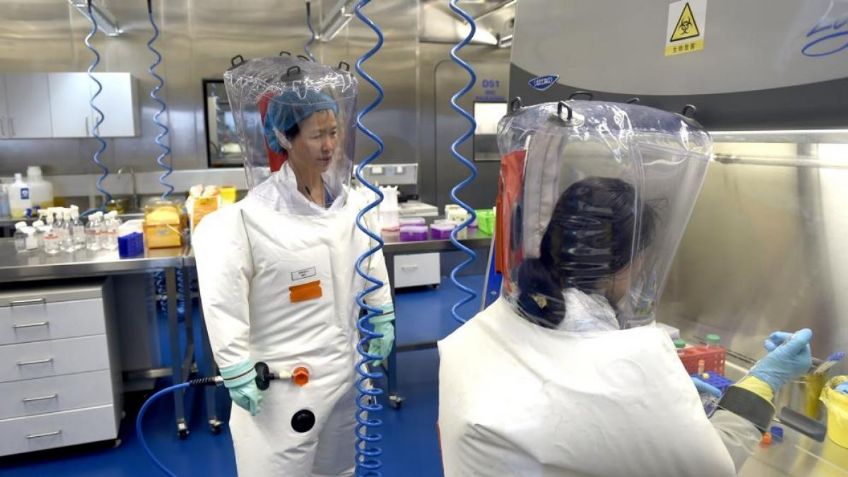 ¿El Covid-19 fue creado en un laboratorio? Hallan posible prueba definitiva del año 2015
