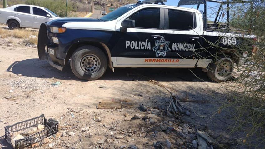 Hermosillo: Madres Buscadoras de Sonora localizan cuerpo cadavérico en Altares
