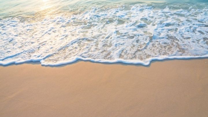 Día Mundial de los Océanos: Descubre las acciones que puedes hacer para cuidar de los mares