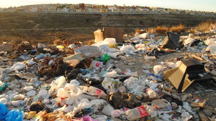 VIDEO: ¡Macabro hallazgo! Tiran una maleta a un basurero; tenía restos humanos