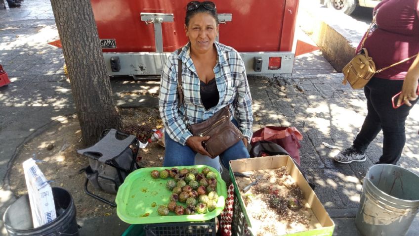La pitaya, una joya exótica del desierto de Sonora que ya se encuentra disponible