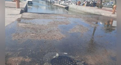 Guaymas: Llueven denuncias por colapsos de drenajes en toda la ciudad