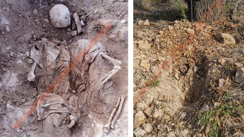 Trágico fin de semana: Encuentran restos humanos sepultados a las afueras de Nogales