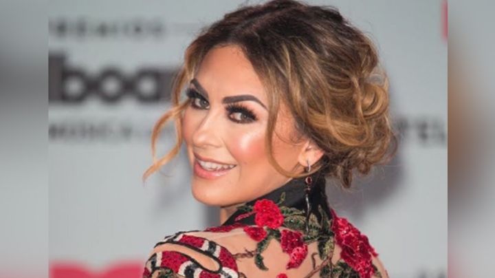 ¡La familia crece! Tras divorcio de Luis Miguel, Aracely Arámbula revela llegada de nuevo integrante