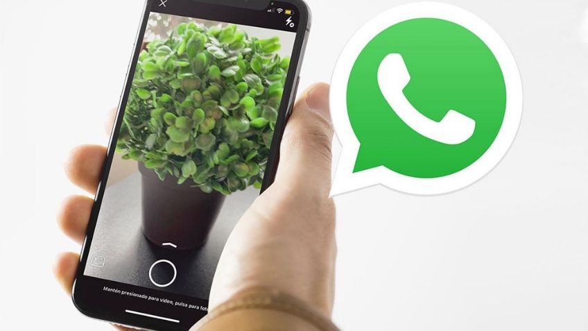 ¿La cámara de tu WhatsApp tiene bastante zoom sin aplicarlo? Esto puede ayudar a solucionarlo