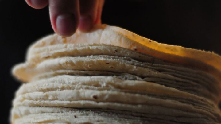 Precio de la tortilla en México: Este será el costo del kilo en cada estado