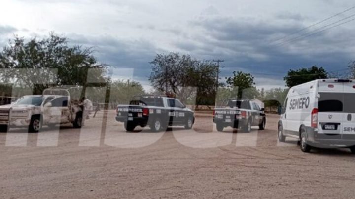 Acribillan y matan a un hombre en el campo agrícola 'La Jaimea' en el Valle de Guaymas