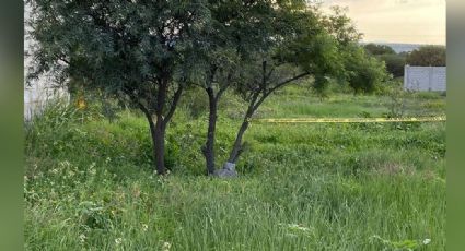 Debajo de un árbol y entre el monte, hallan el cuerpo de una persona; fue violentada y estaba putrefacta