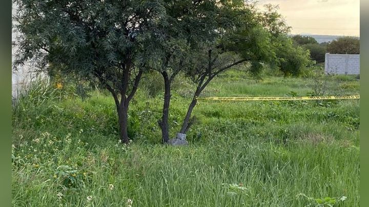 Debajo de un árbol y entre el monte, hallan el cuerpo de una persona; fue violentada y estaba putrefacta