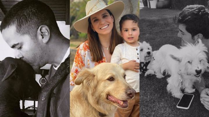Día del perro: Famosos homenajean a sus amigos de 4 patas con FOTOS en redes sociales