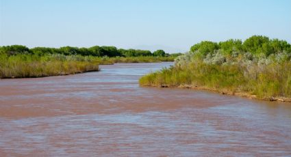 Horrible final: Hallan un cuerpo en estado de descomposición en las aguas de un río