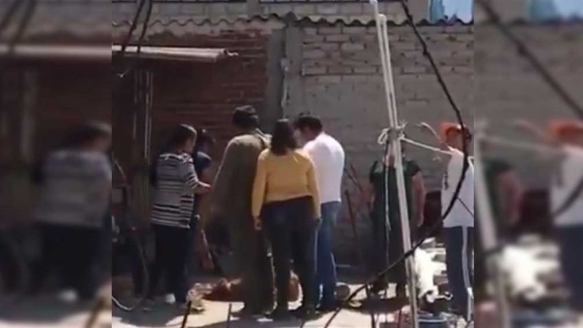 VIDEO: Familia de Tlalnepantla tortura a un perro por morder a una integrante