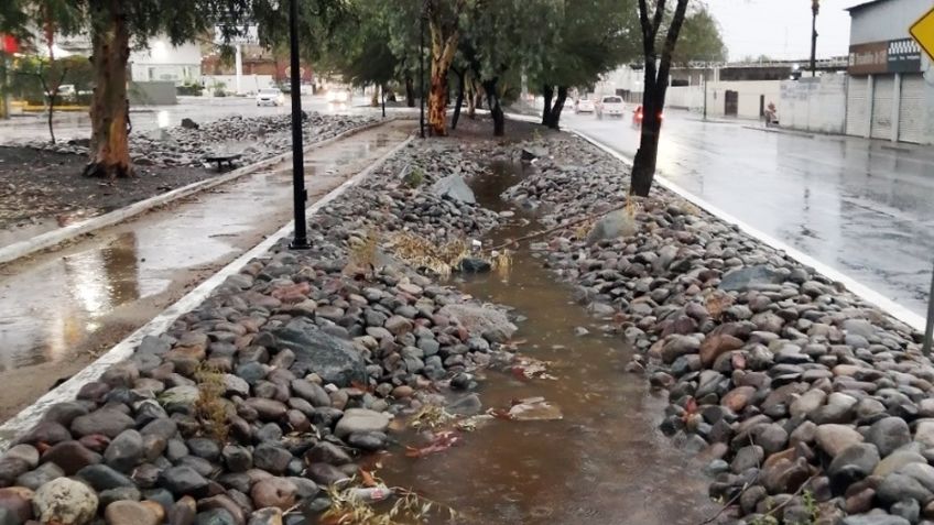 Hermosillo: Construyen ríos secos para captar agua de lluvias y mantener áreas verdes